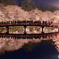 誘われ集う春陽橋