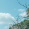 空