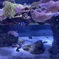 水の中