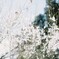 雪の花①