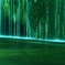 無音の滝