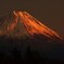 夕映えに輝く