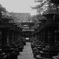 寺院・風景