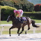 競馬