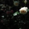 CBB86387-2925-4BAF-A8ED-1B3DAD202528