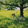 自転車