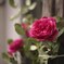 IMG_20210501_171429_749
