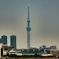  TOKYO SKYTREE