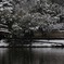 _DSC5666