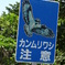 動物交通安全