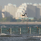 urban flight