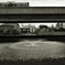 P1190848