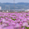 サイクリング　1