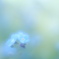 「野原紫」