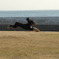 uki♪　uki♪　jump! 