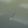 君は誰？