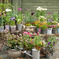 UENO FARM ①