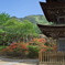 上田市 前山寺にて (8)