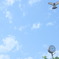 鳩と青空２