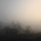 朝靄の情景