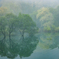霧の水没林