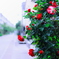 彩のＰｒｏｍｅｎａｄｅ