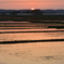 瑞穂の国　庄内平野の夕暮