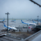 雨の羽田空港