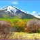 八甲田山.春紅葉　Ⅳ