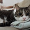 DSC00025