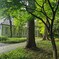 IMG_20210514_185524_696