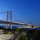 静かに朝を待つ大橋