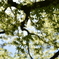 14C8C023-9ED4-4068-A138-A9BB19556E39