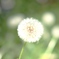 ぼんやり
