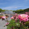 須磨離宮公園