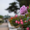 20210513-DSC_6100