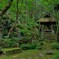 新緑の延寿寺　２