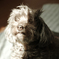 2EA75524-A941-4E01-9D45-3CCF329FF223