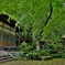 新緑の延寿寺　7