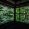 雨の瑠璃光院1