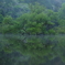静寂