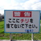 警告