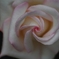 Ice flower