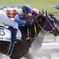 2021年5月15日　東京競馬場