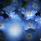 Refreshing blue