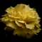 DSC00281_DxO