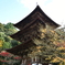 西明寺1