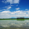 初夏を走る常総線