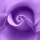 Blue Ribbon