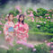 霧とアジサイと浴衣美人